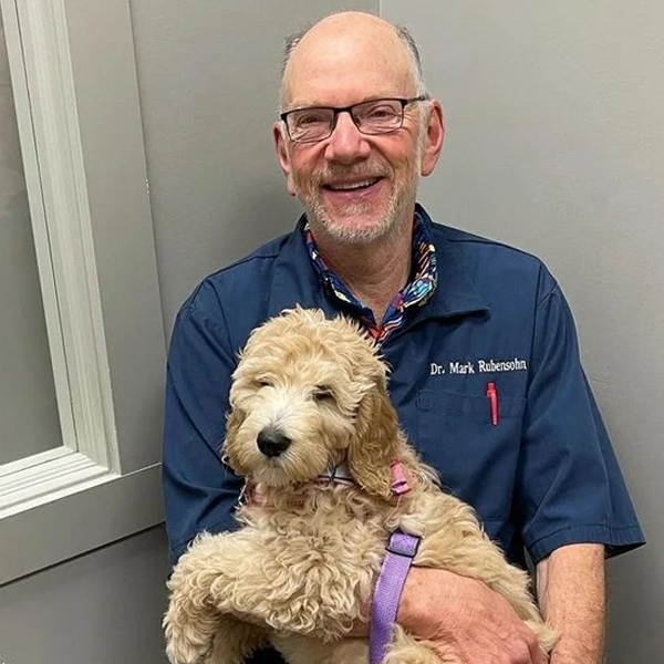 Veterinarians Near Me Okotoks Veterinary Clinic Okotoks AB